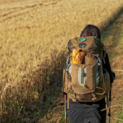 Camino Francés (Logroño - León)