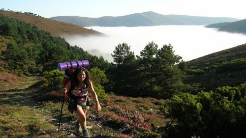 Camino De Santiago Primitivo. Svar på alla dina frågor