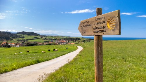 Den Ultimata Camino-guiden