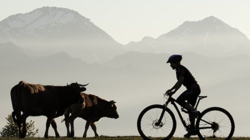Mountainbikeresa i Norra Spanien
